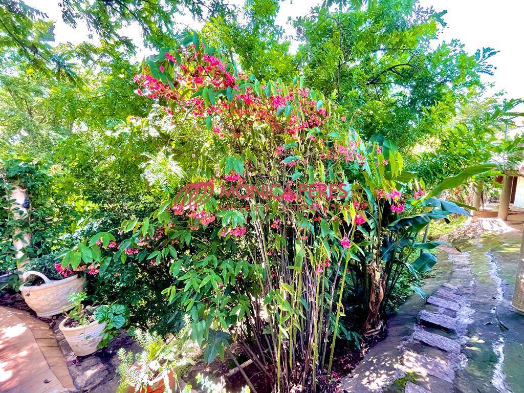 Casa, 4 quartos, 550 m² - Foto 30