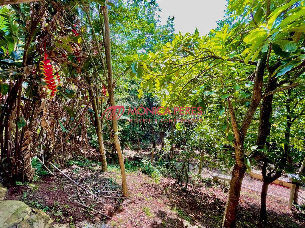 Casa, 4 quartos, 550 m² - Foto 26