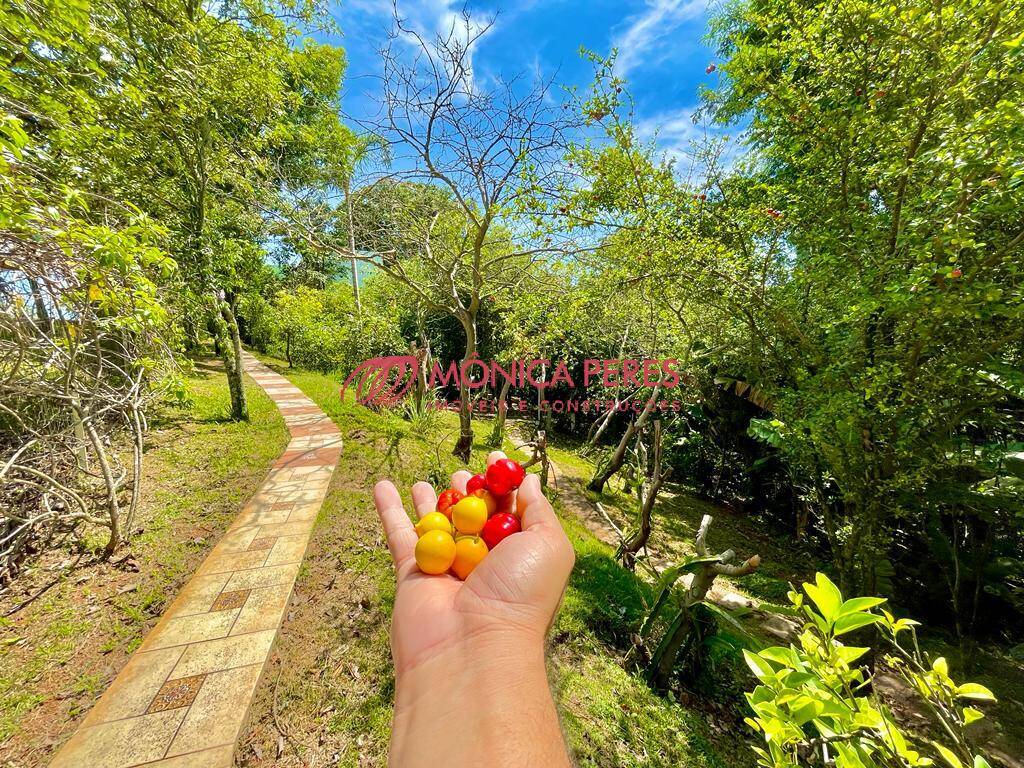 Casa, 4 quartos, 550 m² - Foto 24