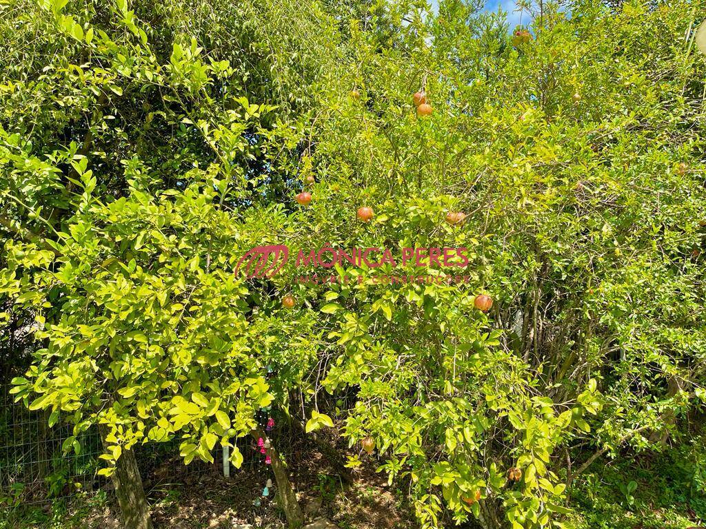 Casa, 4 quartos, 550 m² - Foto 29