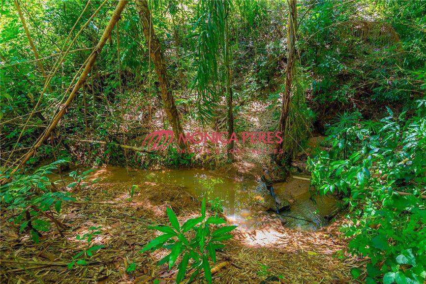 Casa, 3 quartos, 300 m² - Foto 7