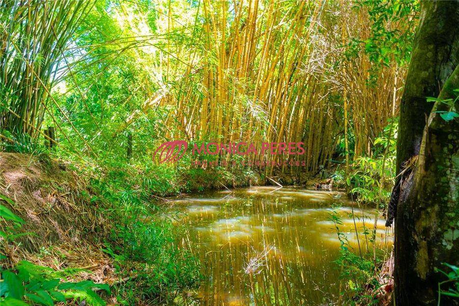 Casa, 3 quartos, 300 m² - Foto 10