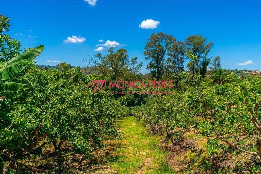 Casa, 3 quartos, 300 m² - Foto 16