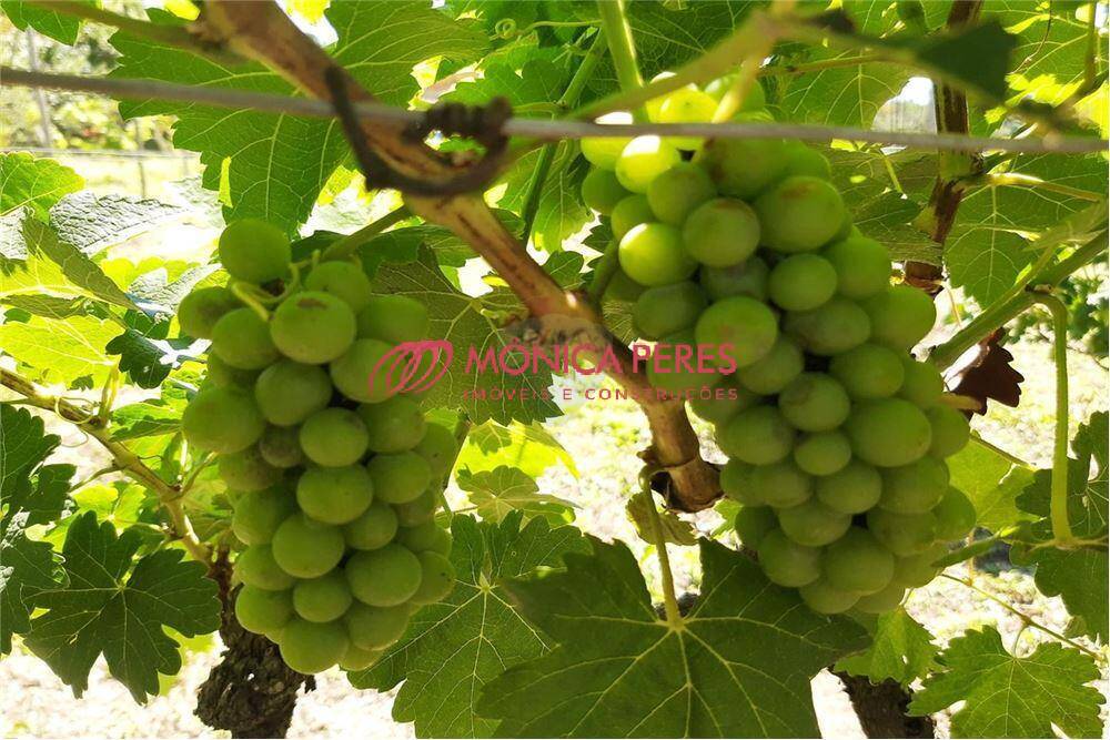 Casa, 3 quartos, 300 m² - Foto 15