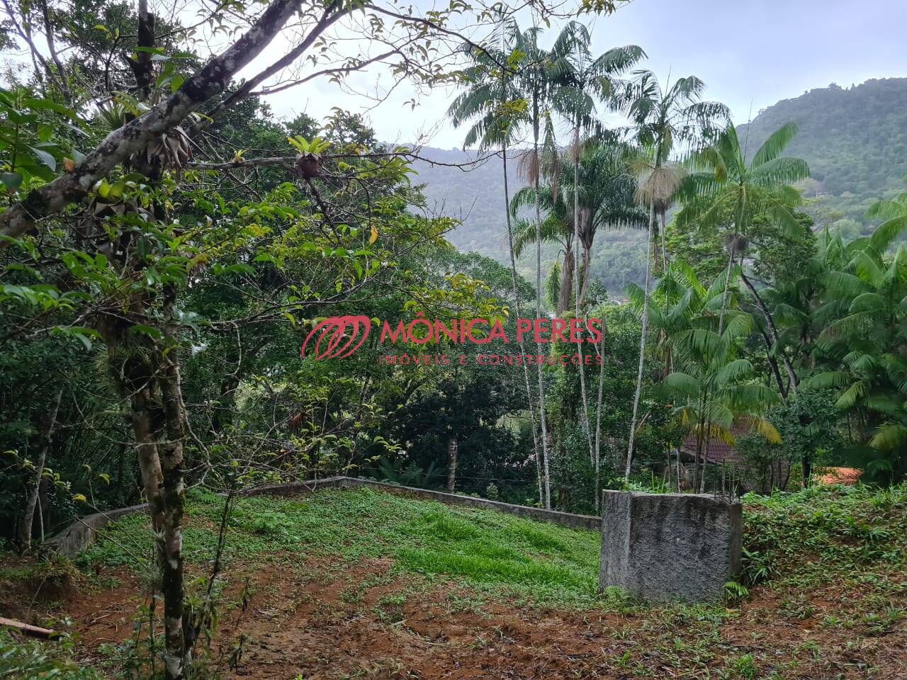 Terreno, 5042 m² - Foto 5