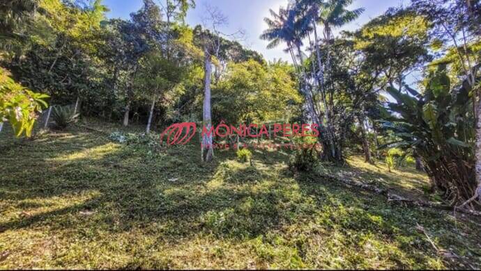 Terreno, 5042 m² - Foto 7