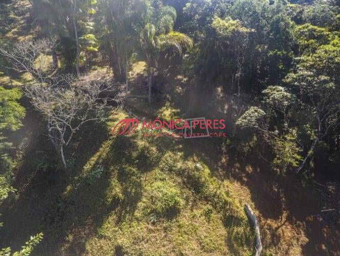 Terreno, 5042 m² - Foto 10