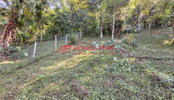 Terreno, 5042 m² - Foto 9