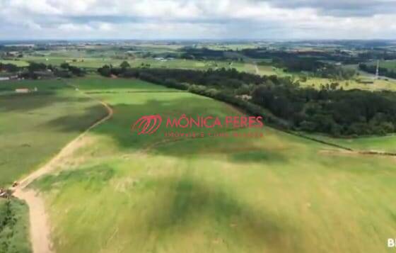 Terreno, 65 hectares - Foto 11