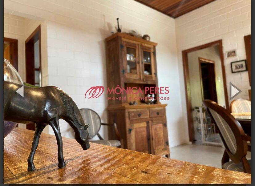 Casa, 4 quartos, 360 m² - Foto 31