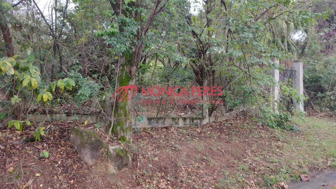 Terreno, 4800 m² - Foto 7