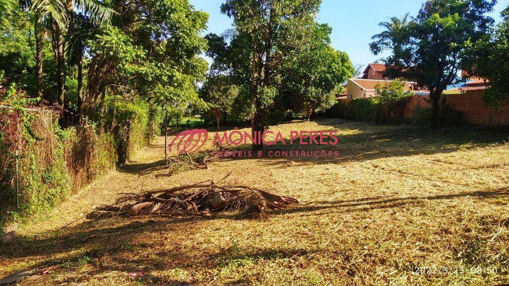 Terreno, 1000 m² - Foto 3