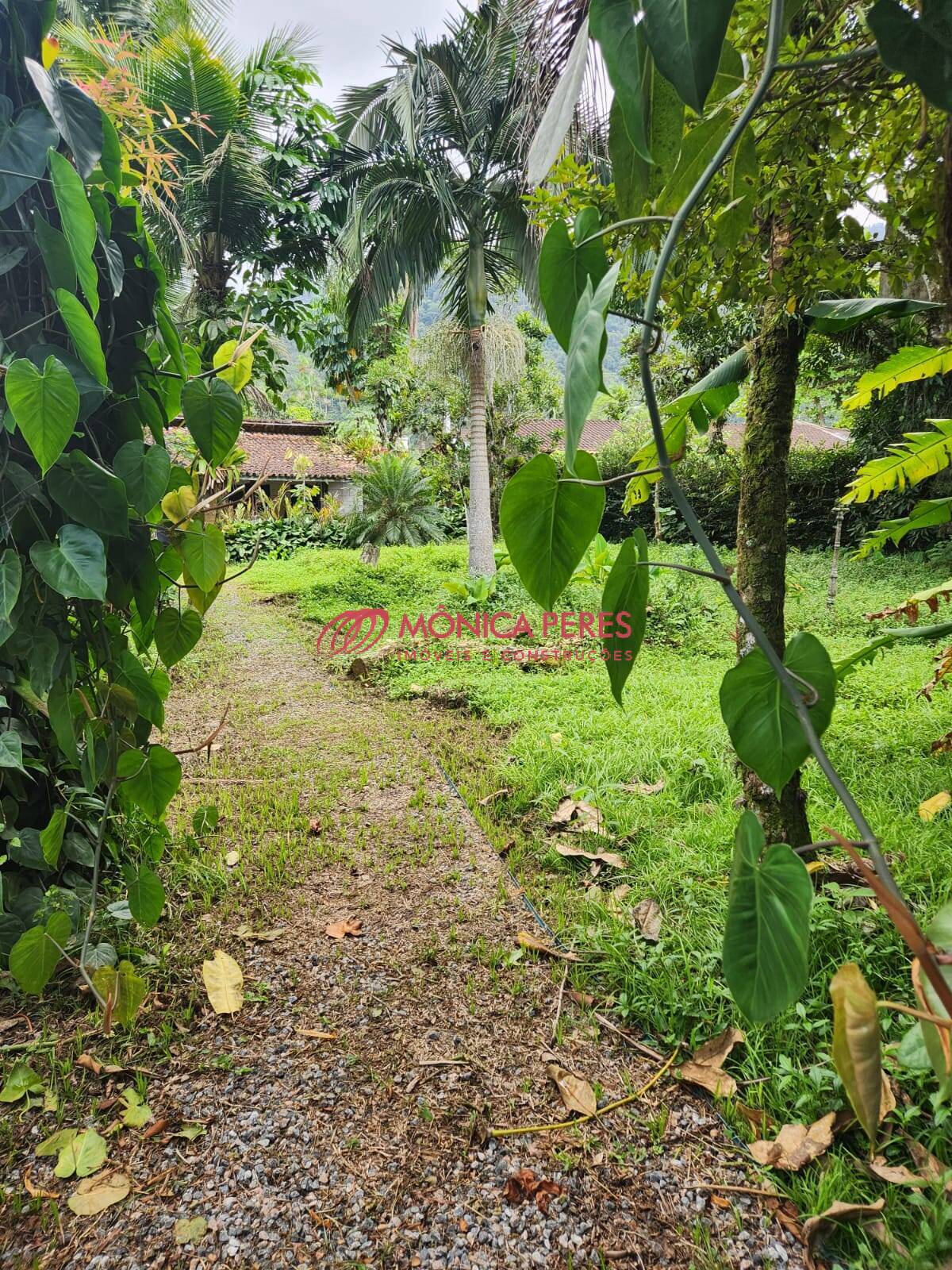 Casa, 4 quartos, 250 m² - Foto 14