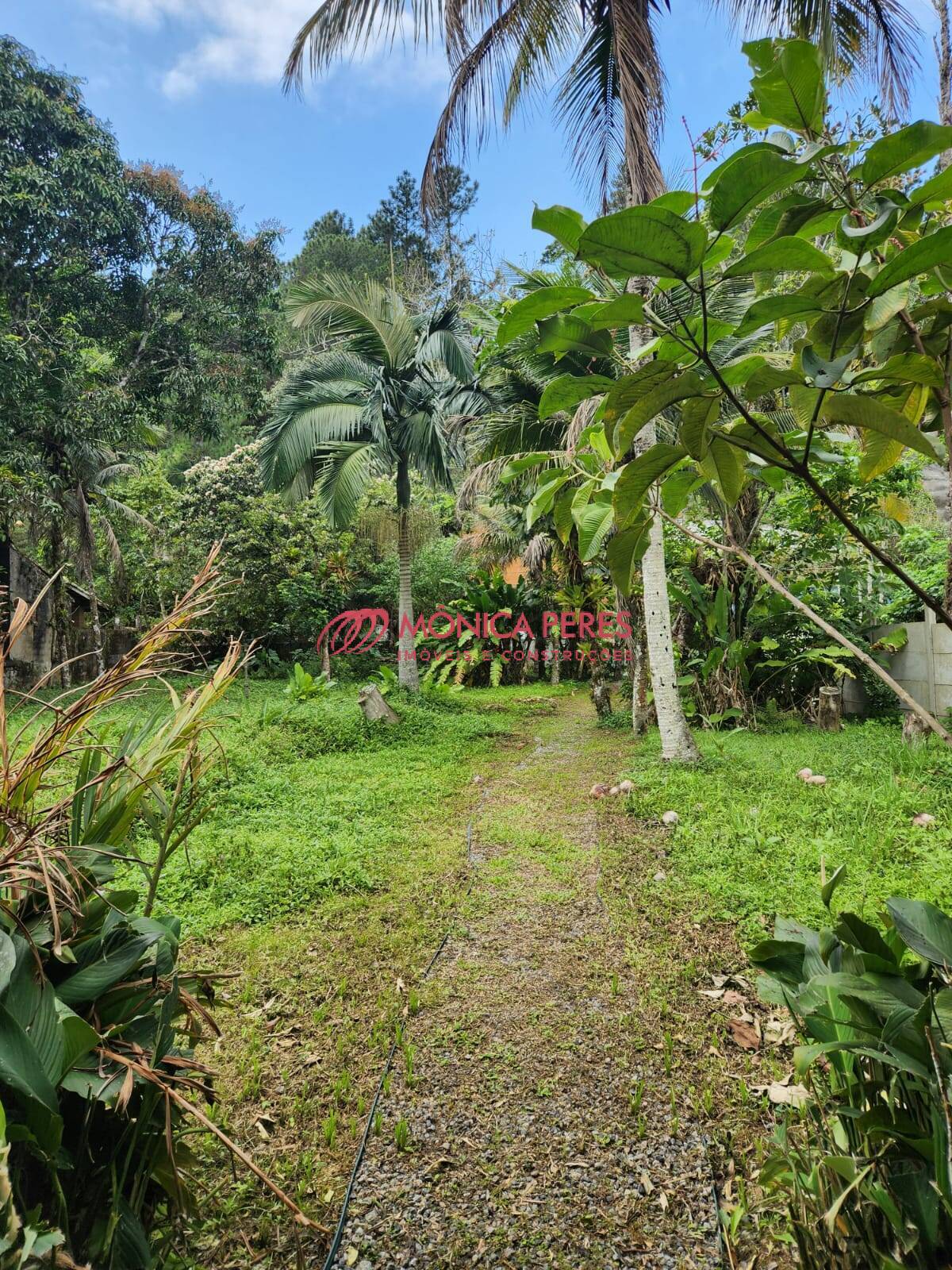 Casa, 4 quartos, 250 m² - Foto 19