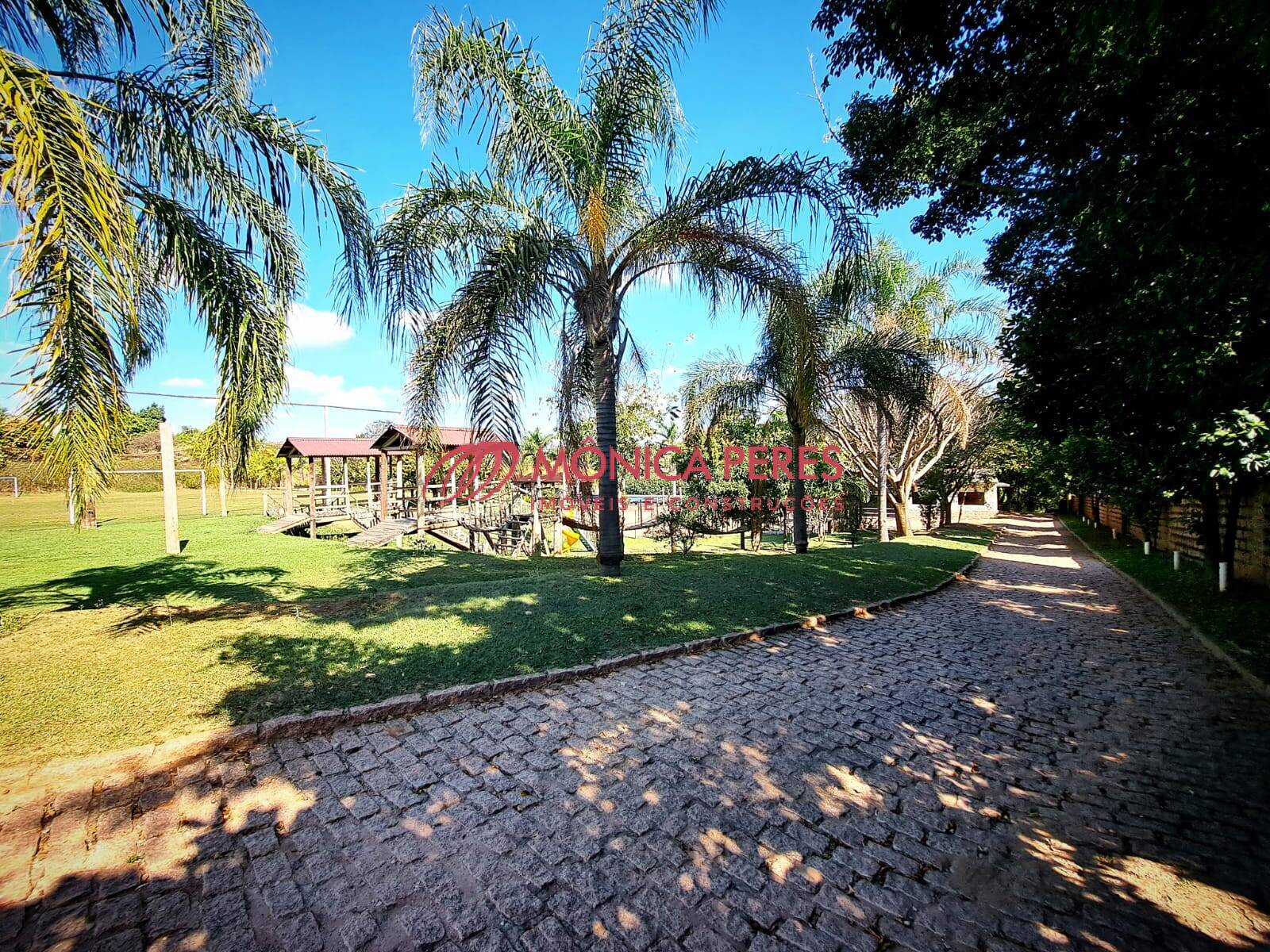 Terreno, 4 hectares - Foto 12