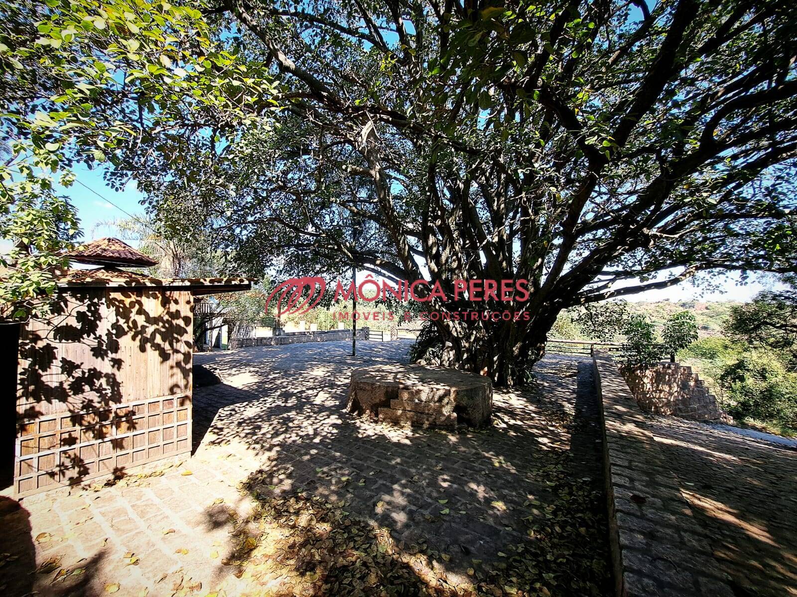 Terreno, 4 hectares - Foto 14