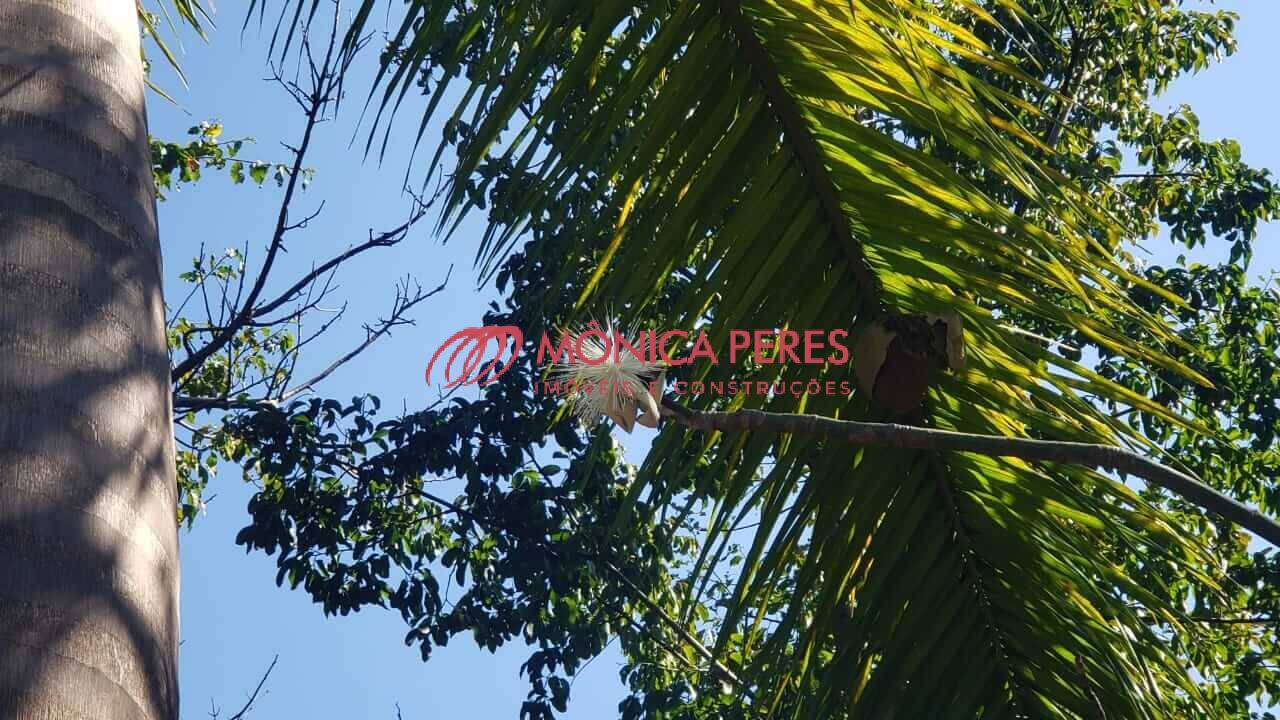 Terreno, 847 m² - Foto 30