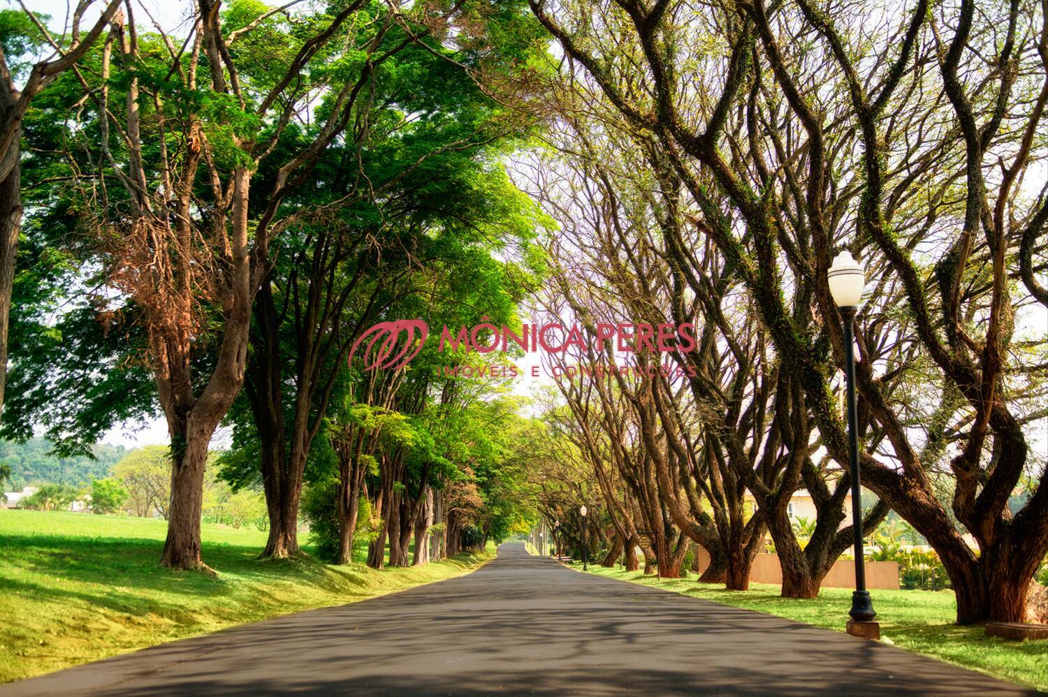 Terreno, 1196 m² - Foto 8