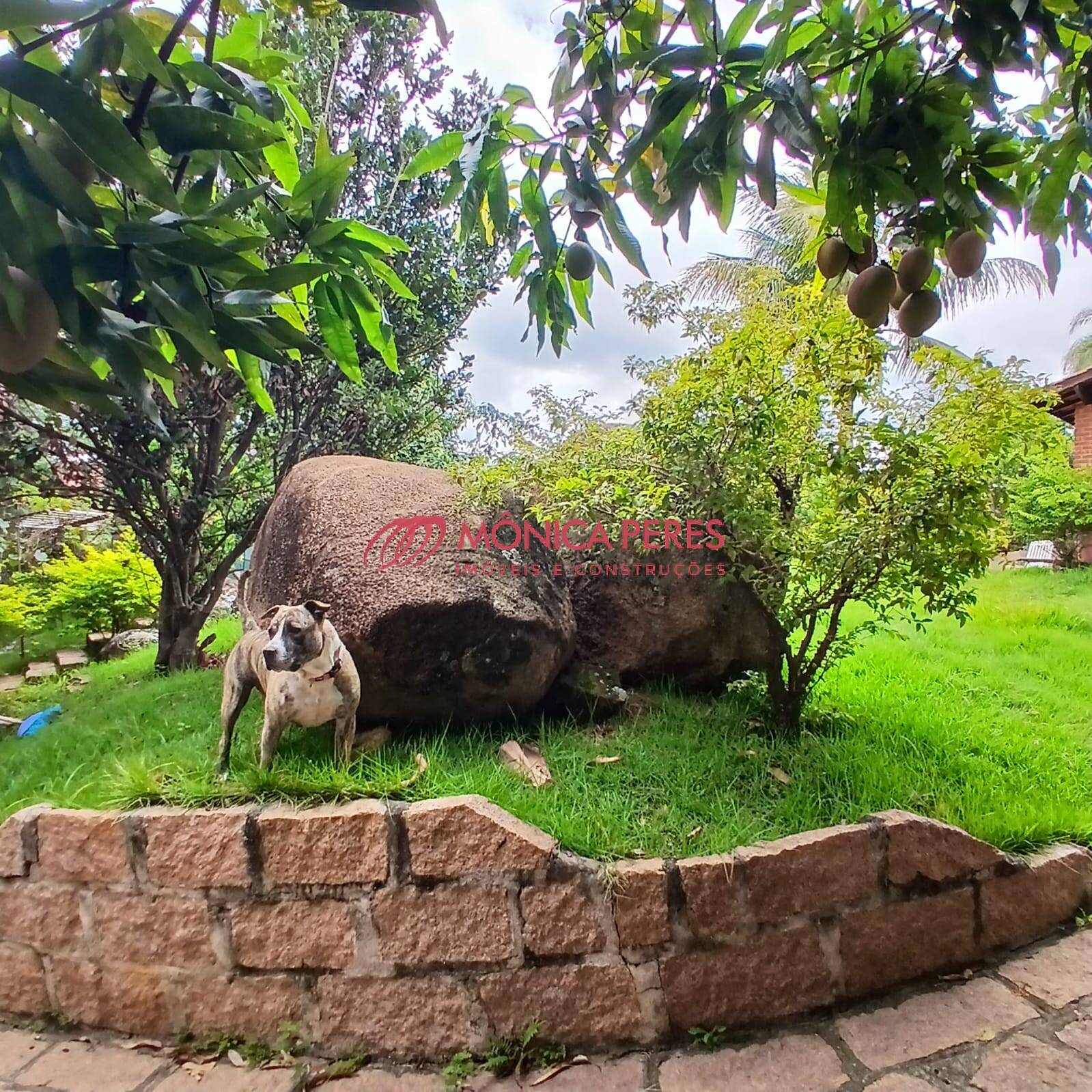 Casa, 5 quartos, 333 m² - Foto 49