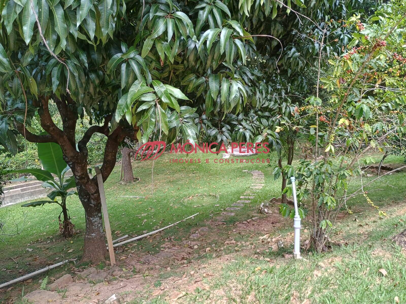 Casa, 4 quartos, 350 m² - Foto 4