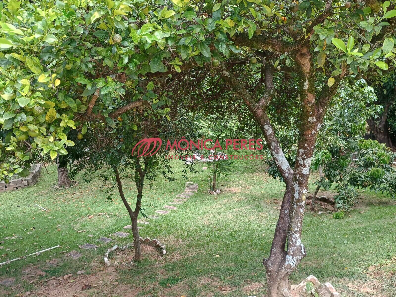 Casa, 4 quartos, 350 m² - Foto 35