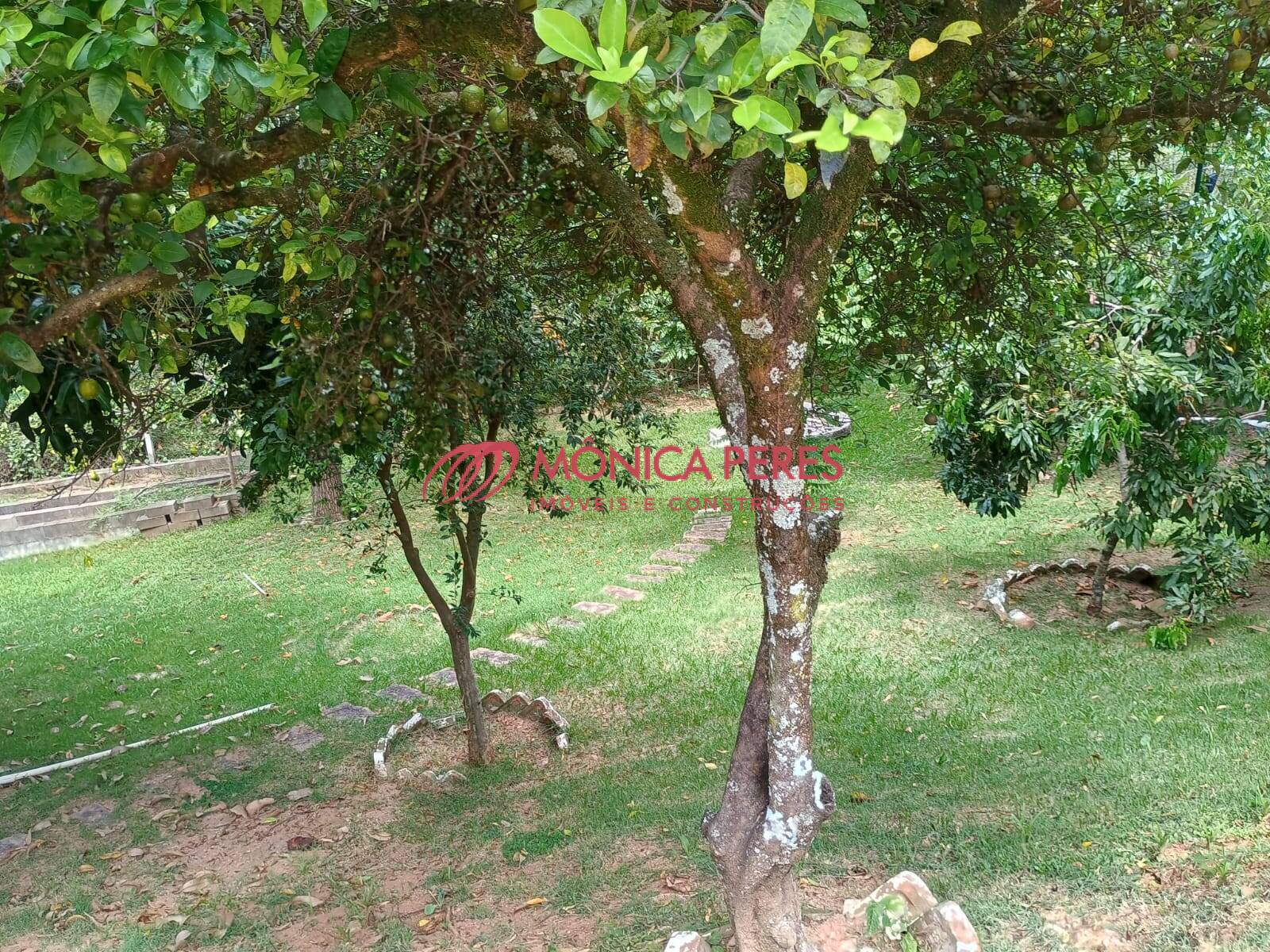 Casa, 4 quartos, 350 m² - Foto 39