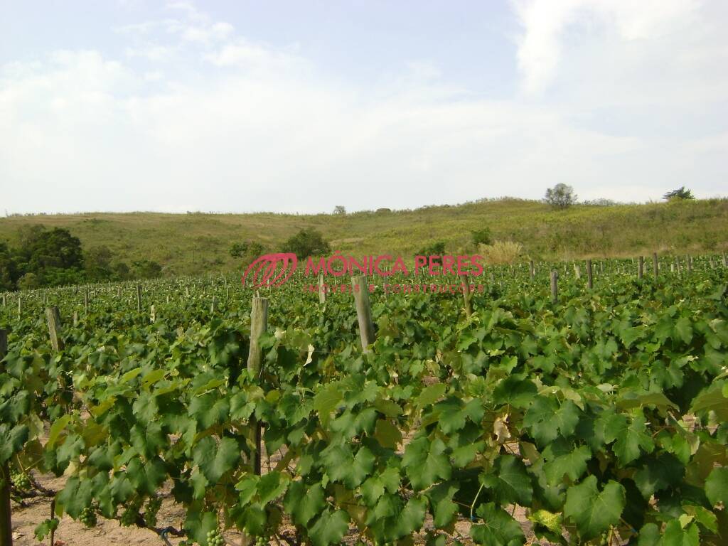 Terreno, 4 m² - Foto 4