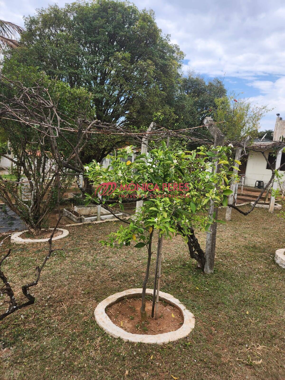 Casa à venda com 2 quartos, 2000m² - Foto 13
