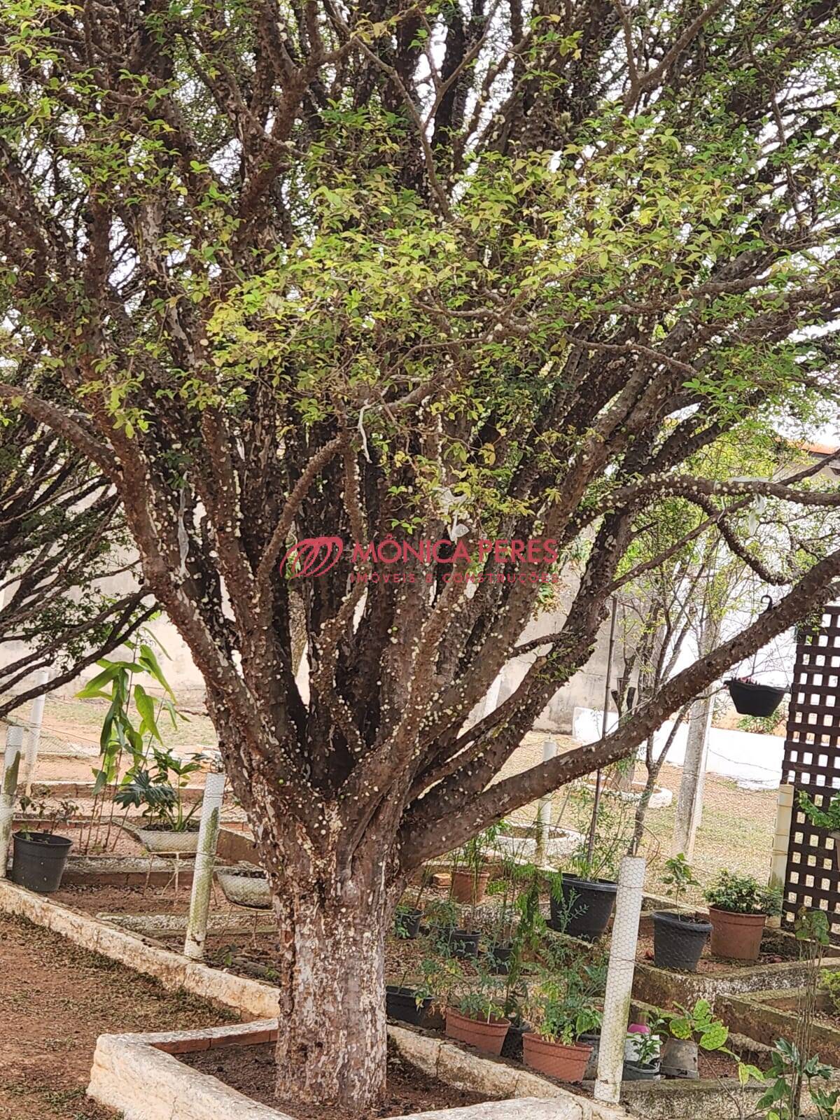 Casa à venda com 2 quartos, 2000m² - Foto 26