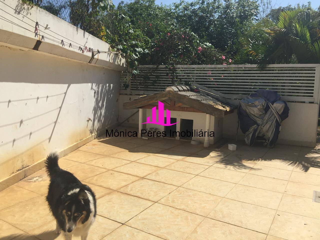 Casa, 4 quartos, 660 m² - Foto 16