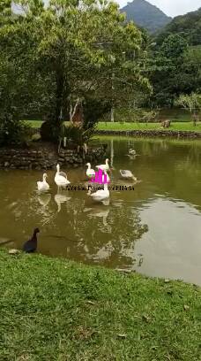 Terreno, 315 m² - Foto 9