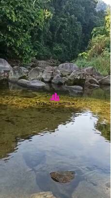 Terreno, 315 m² - Foto 10